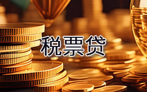 毕节税票贷